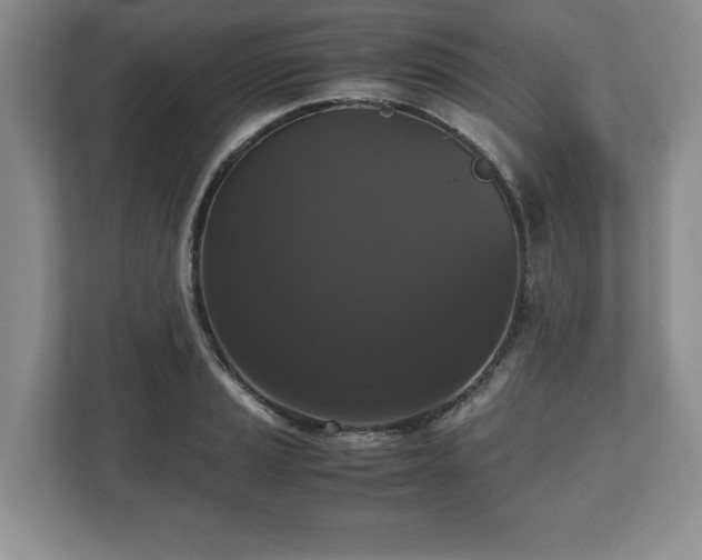 X0000112531037200908241502