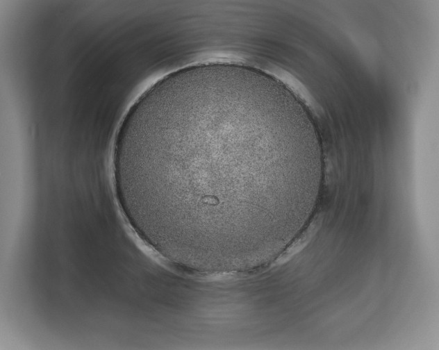 X0000112531038200908241502