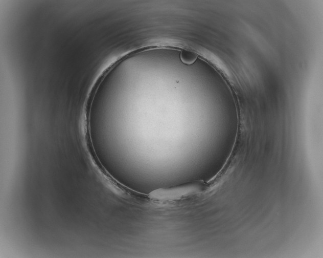 X0000112531040200908241503