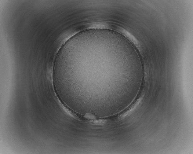 X0000112531041200908241503