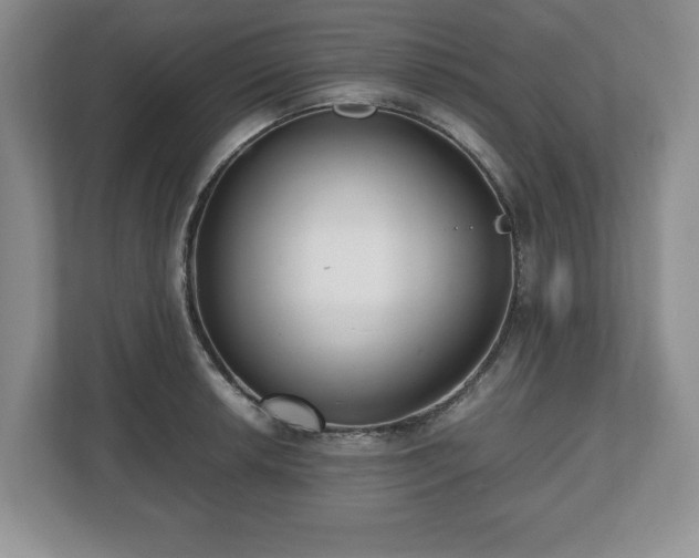 X0000112531042200908241503