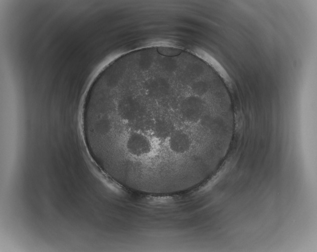 X0000112531043200908241503