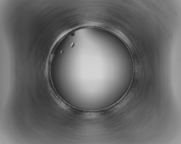 X0000112531044200908241503