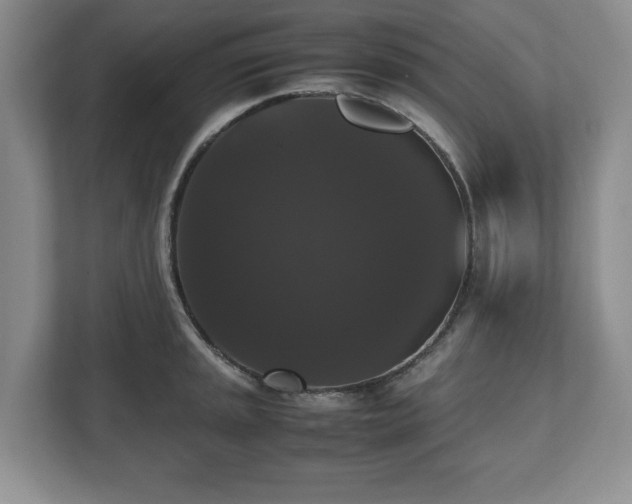 X0000112531045200908241503