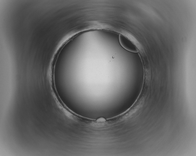 X0000112531046200908241503