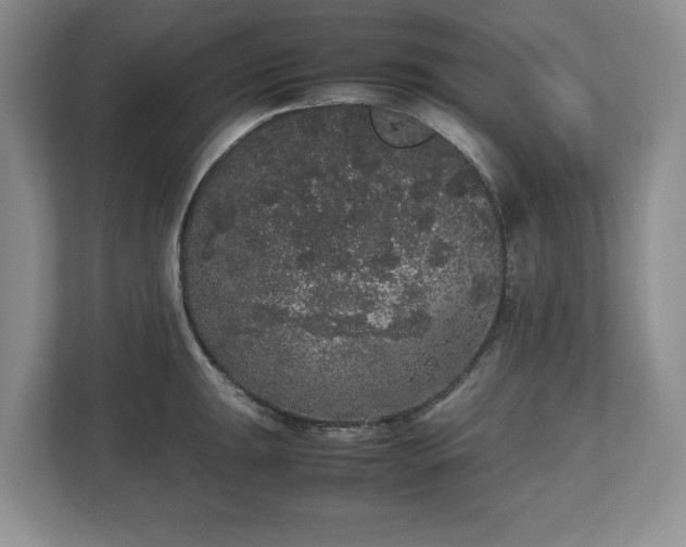 X0000112531047200908241503