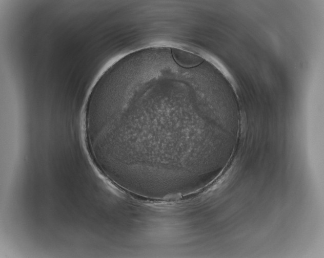 X0000112531048200908241503