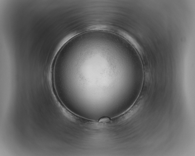 X0000112531050200908241503