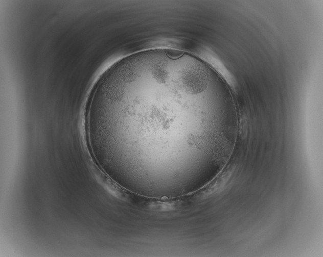 X0000112531051200908241503