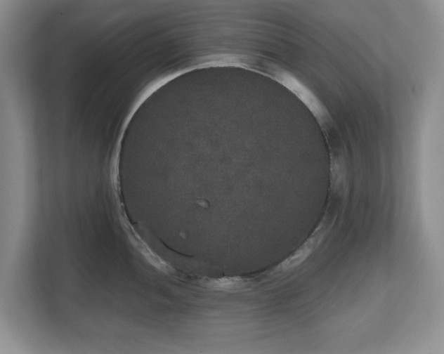 X0000112531052200908241503