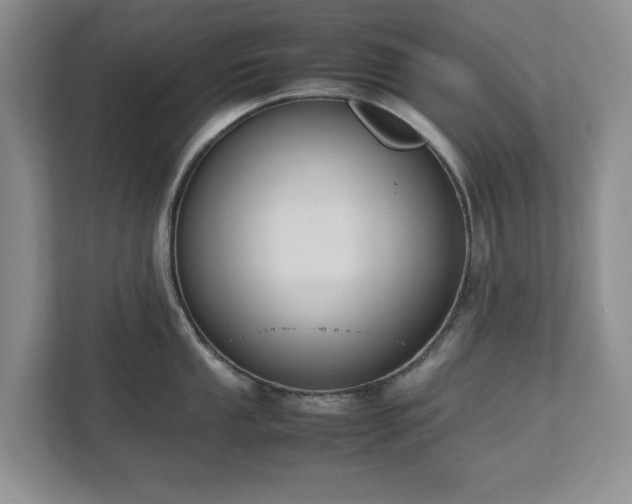 X0000112531053200908241503