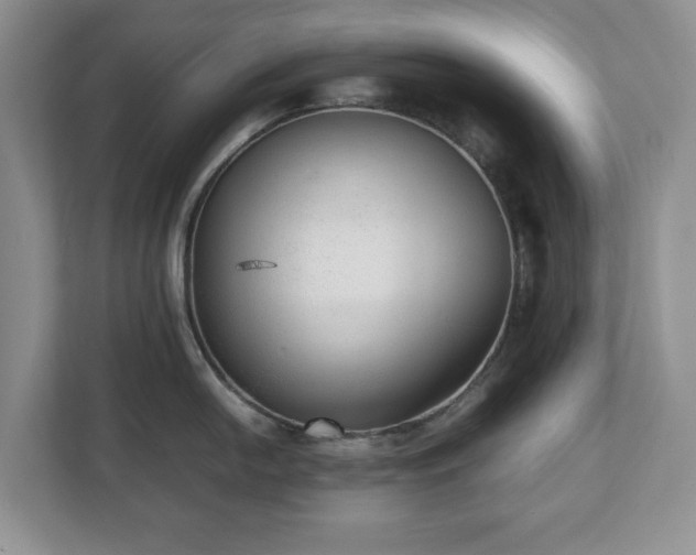 X0000112531054200908241503
