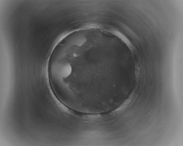 X0000112531055200908241503