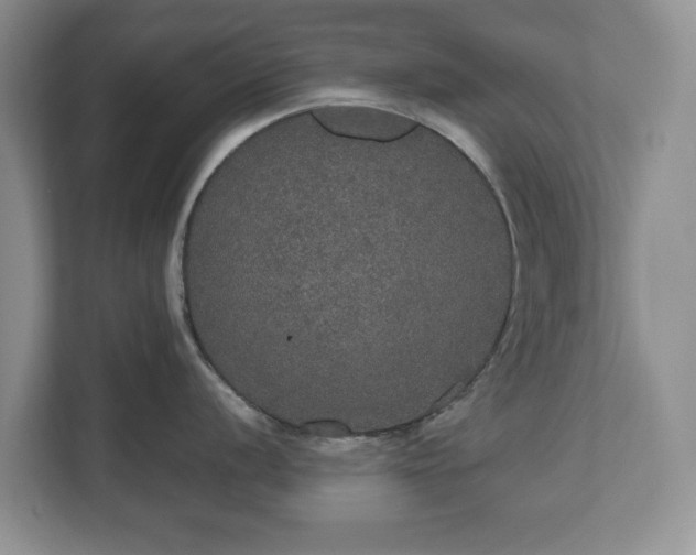 X0000112531056200908241503
