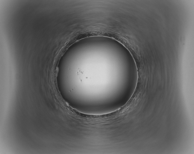 X0000112531057200908241502