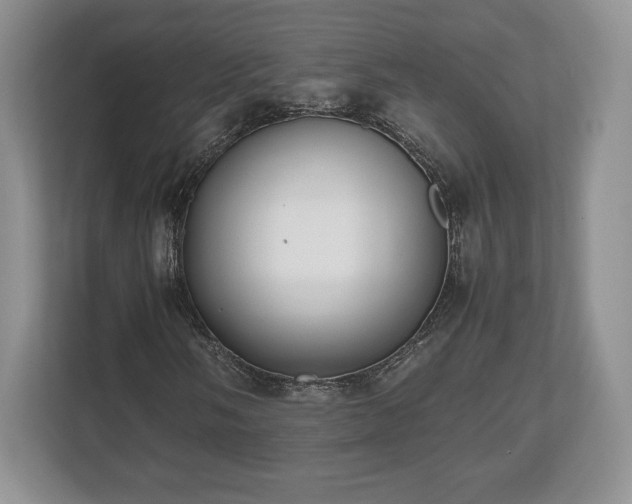 X0000112531058200908241502