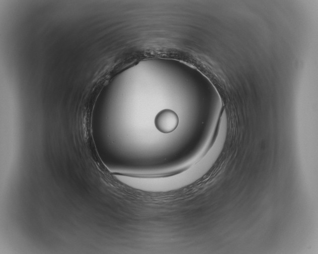 X0000112531060200908241502