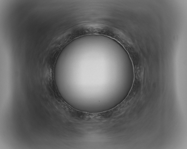 X0000112531061200908241502