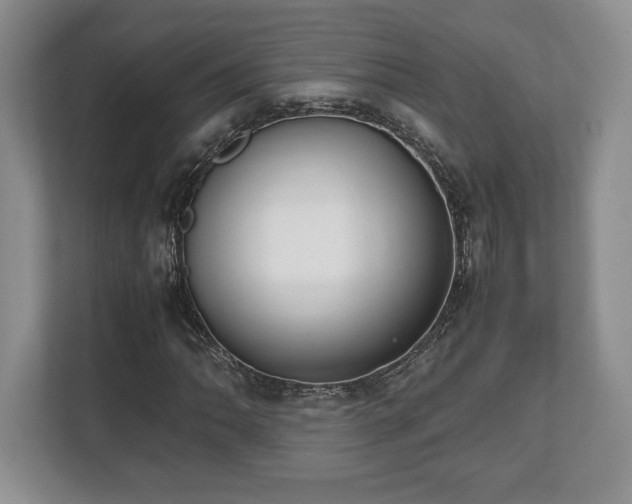 X0000112531062200908241502
