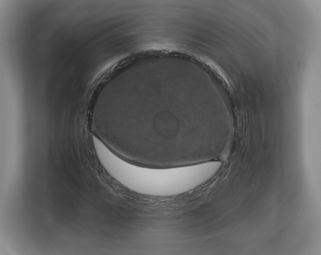 X0000112531064200908241502