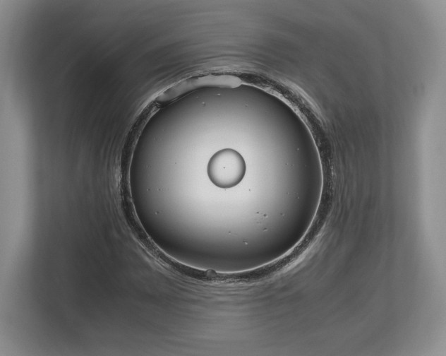 X0000112531065200908241502