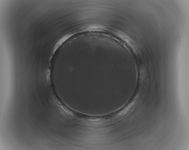 X0000112531066200908241502