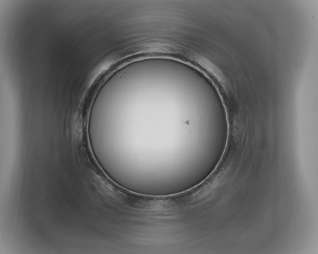 X0000112531067200908241502