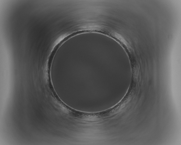 X0000112531071200908241502