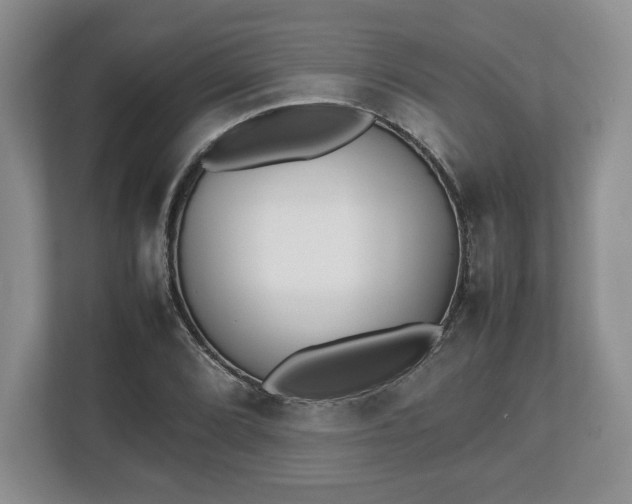 X0000112531072200908241502