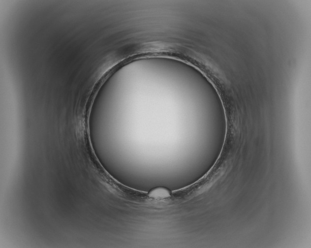 X0000112531073200908241502