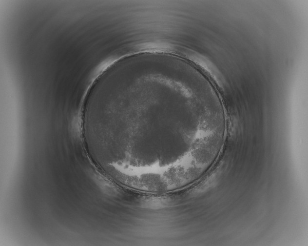 X0000112531074200908241502
