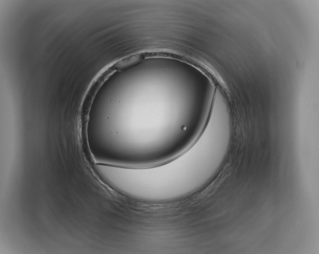 X0000112531076200908241502
