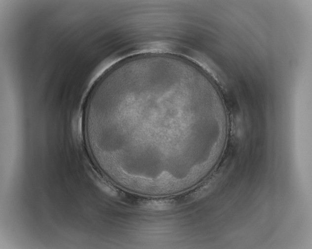 X0000112531078200908241502
