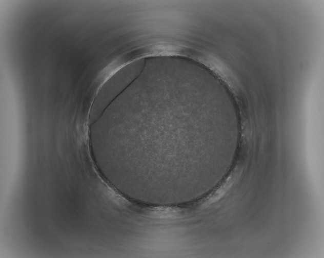 X0000112531081200908241502
