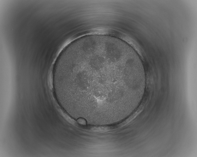 X0000112531083200908241502