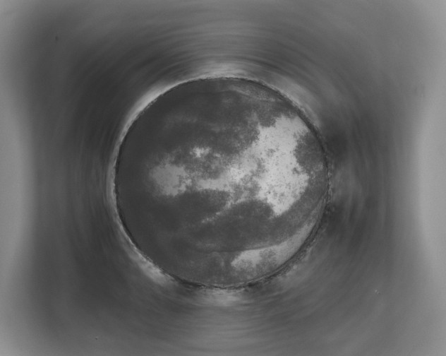 X0000112531086200908241502