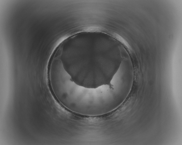 X0000112531087200908241502