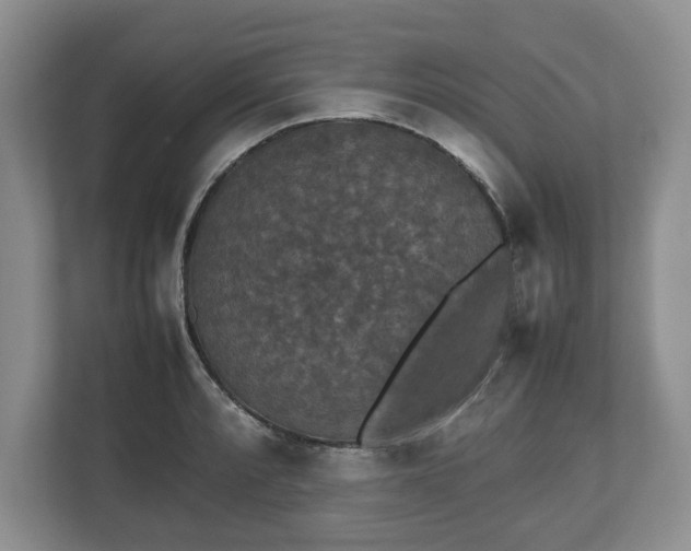 X0000112531088200908241502