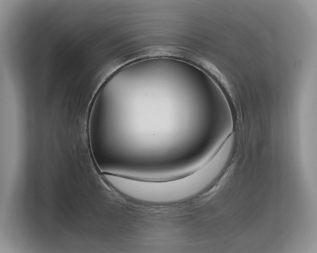 X0000112531089200908241502