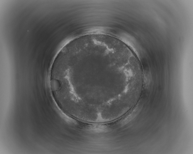 X0000112531090200908241502