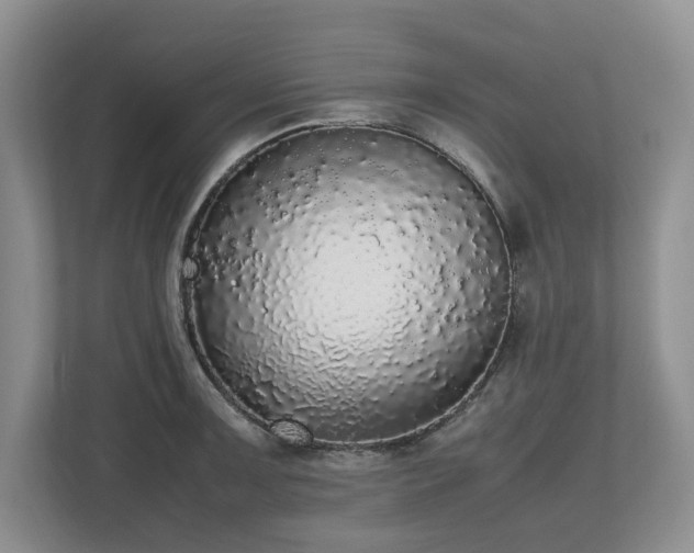 X0000112531091200908241502