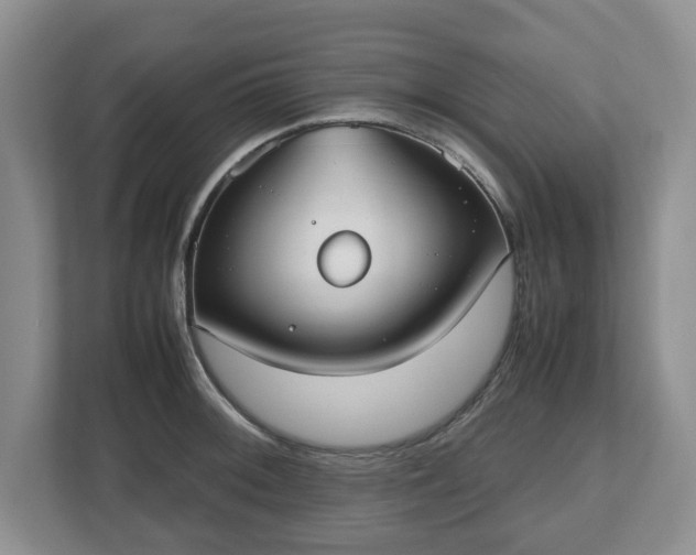 X0000112531092200908241502