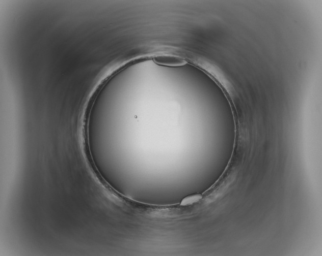 X0000112531093200908241502