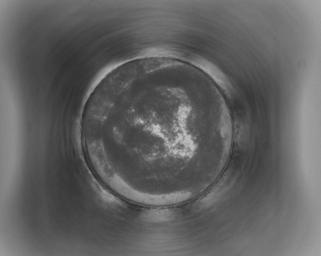 X0000112531094200908241502