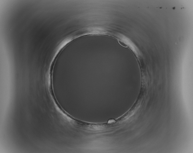 X0000112531095200908241502