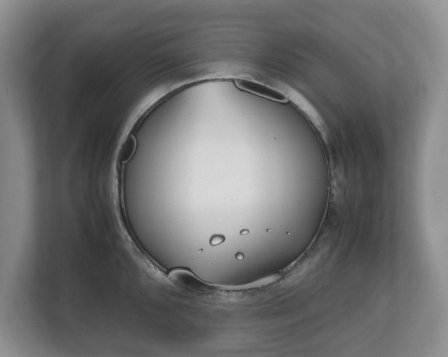 X0000112531096200908241502
