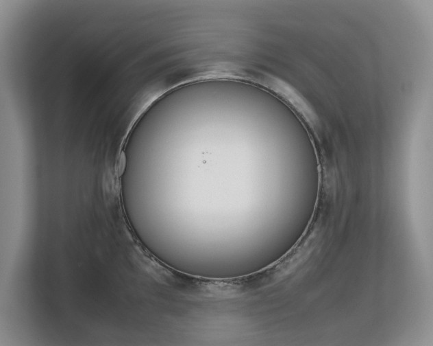 X0000112531097200908241502