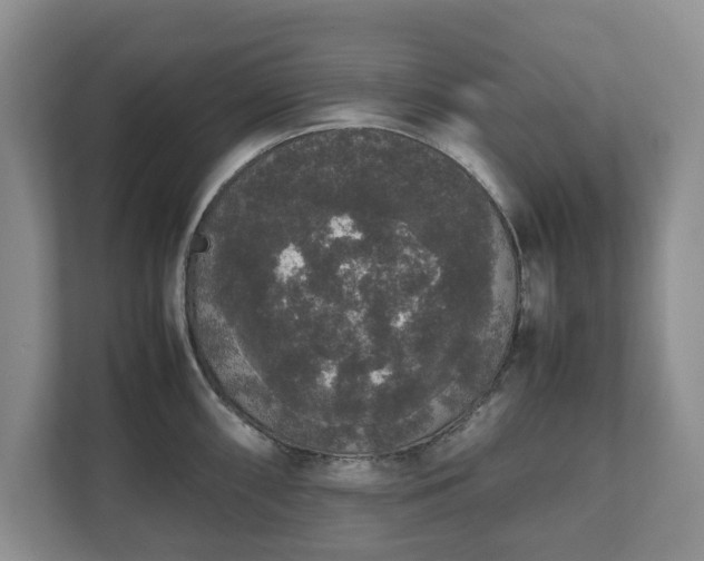 X0000112531098200908241502