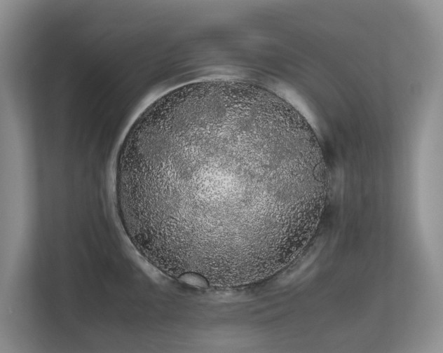 X0000112531099200908241502