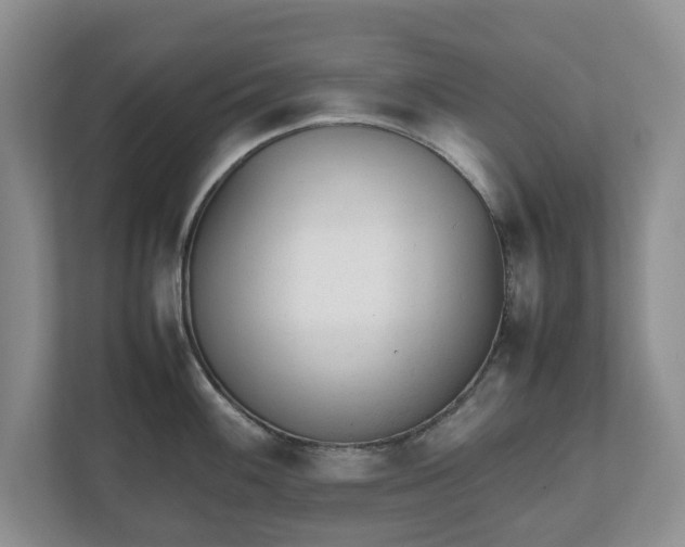 X0000112531100200908241502